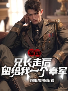 军阀：兄长走后，留给我一个奉军